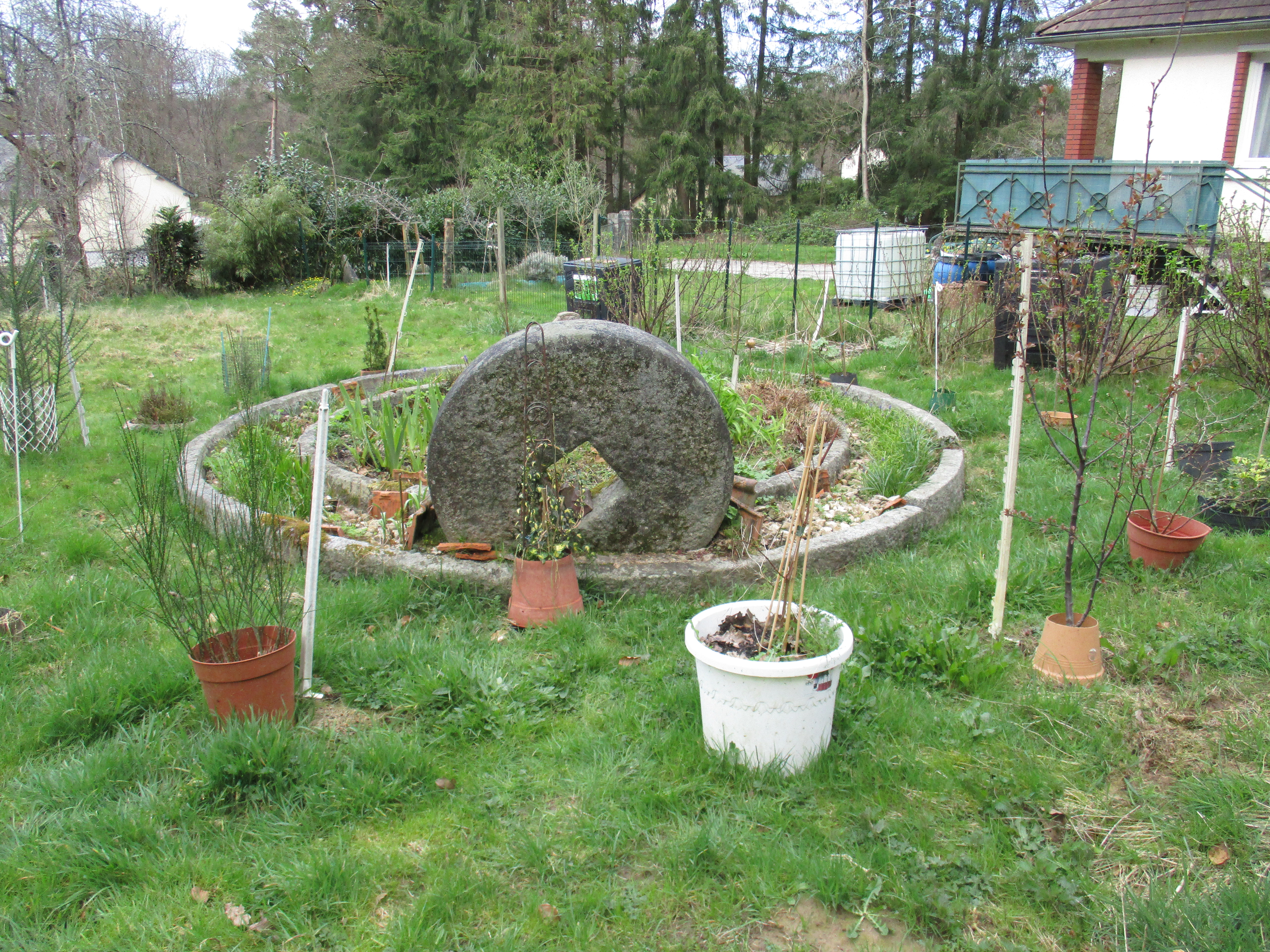 MY FRENCH OGHAM GROVE by Veronica Smith